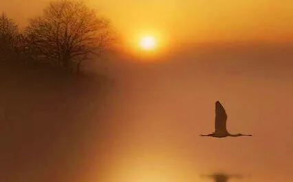 Self Inquiry 7 - Self Enquiry Theory