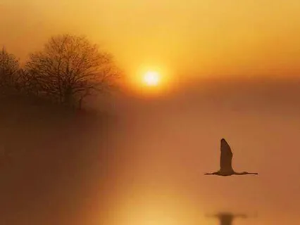 Self Inquiry 9 - Self Enquiry Theory