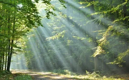 Self-Inquiry Is Gathering Energy To Understand