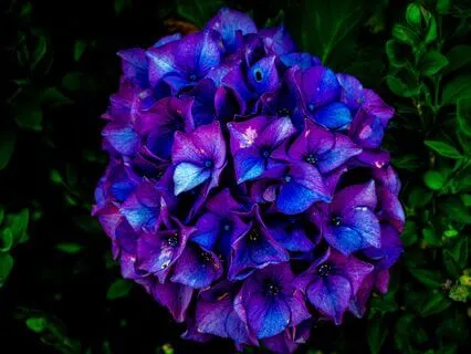 Self-Inquiry Meditation, Release Old Ideas