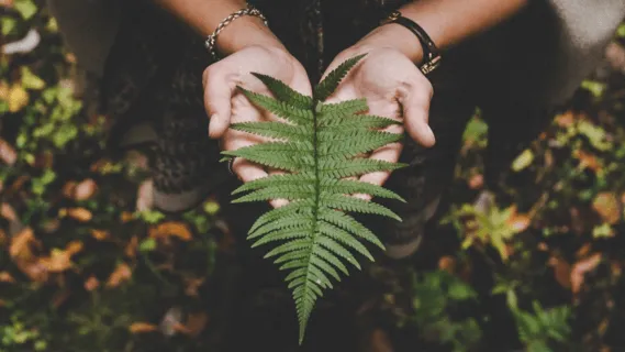 Self-Kindness Meditation  - 5-Minute Daily Insight