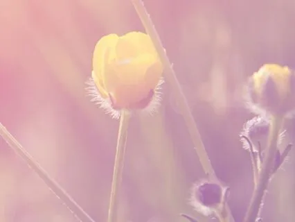 Self-Kindness Meditation: I Accept Myself With An Open Heart