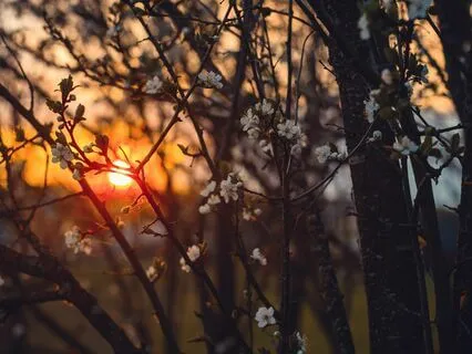 Self-Kindness Meditation: Treat Yourself With Gentleness