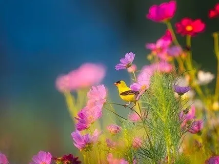 Self-Kindness Meditation