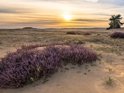 Self Kindness Meditation