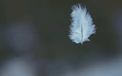 Self Kindness Talk And Practice