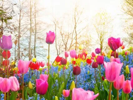 Opening Up To Greater Self-Love