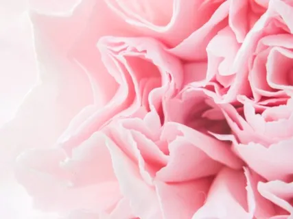 Self Love Affirmation