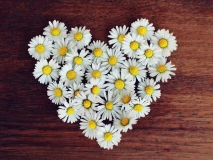 Self-love Affirmation Meditation