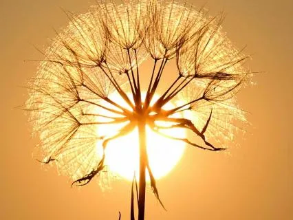 Self-Love Affirmation