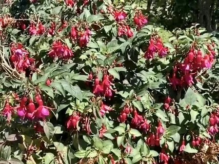 Self-Love Affirmations