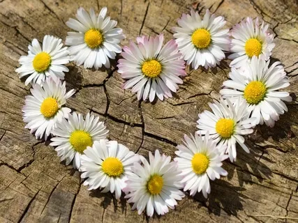 Self Love Affirmations