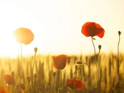 Self-Love Affirmations & Meditation