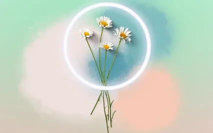 Self-Love Affirmations Meditation