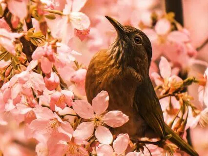 Self Love Affirmations