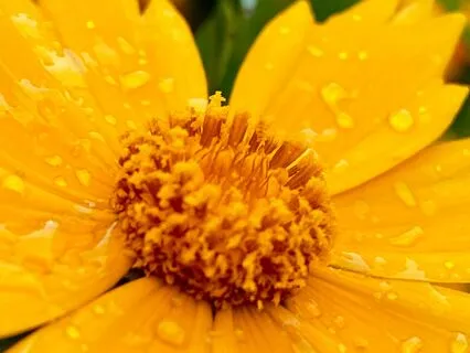 Self-Love - Ambient Piano For Soothing Comfort