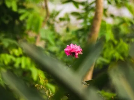 Self-Love & Acceptance Affirmation