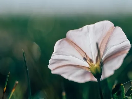 Self Love & Acceptance Guided Practice With Positive Affirmations