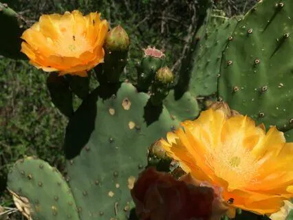 Self-Love And Acceptance Meditation Practice