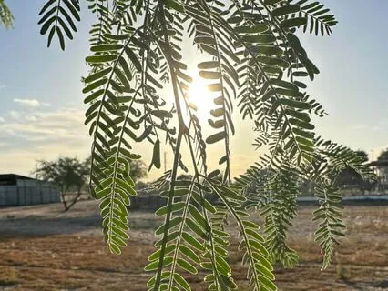 Self Love And Affirmation Practice