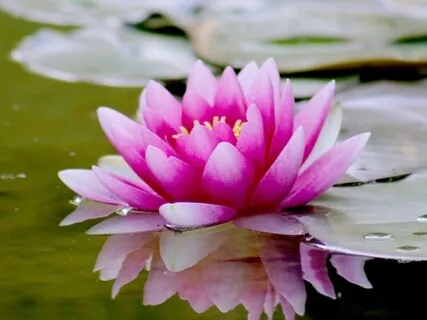 Self-Love And Appreciation