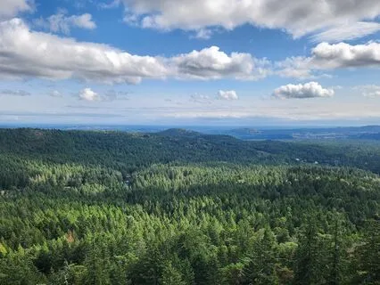 Self Love And Awakening Meditation