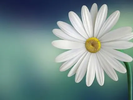 Self Love And Care An Inner Smile Meditation
