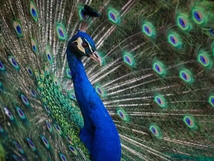 Self Love & Care - Body Scan 