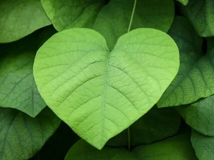 Self-Love And Confidence Boost