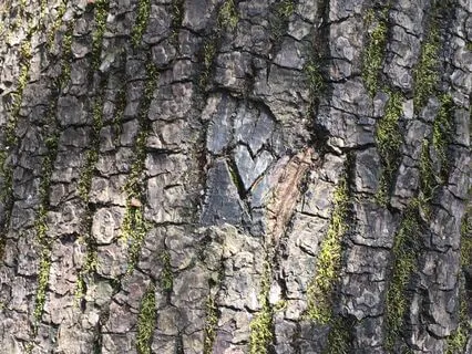 Self-Love And Forgiveness