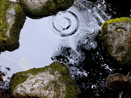 Self-Love Body Positive: All Bodies