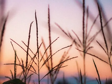 Self Love - Break Up With Your Diet Meditation Album