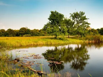 Self-Love Calm: Relax And Let Go