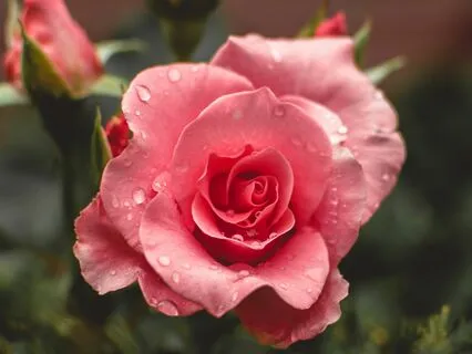 Self-Love - Calming Chimes Sound Healing