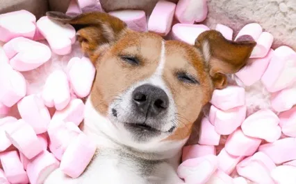 Self-Love, Compassion And Kindness