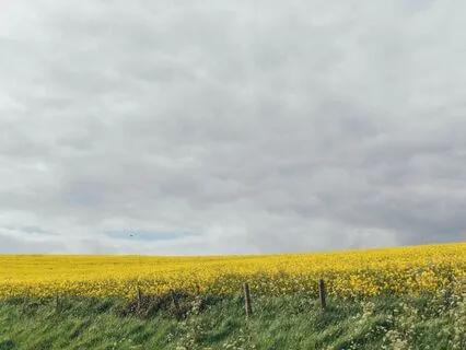 Self-Love & Forgiveness Meditation