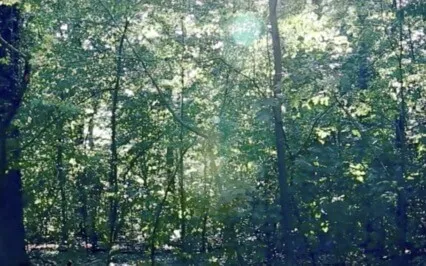 Self Love Gong Sound Healing Meditation Journey