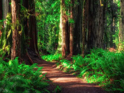 Self-Love Guided Meditation