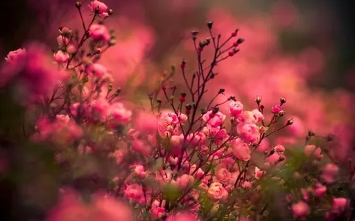 Self Love Guided Meditation - Accept Your Body As It Is