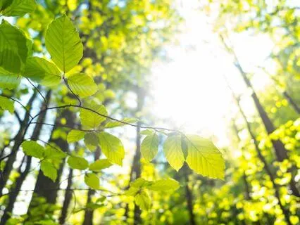 Self-Love Harmony: Relax And Rejuvenate