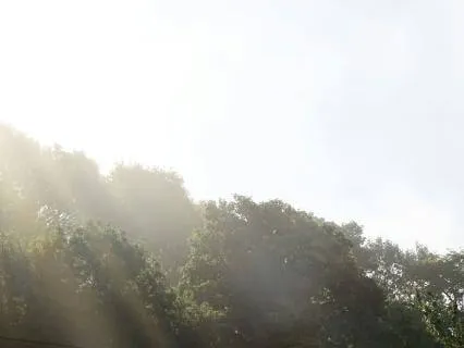 Self-Love Heals The World