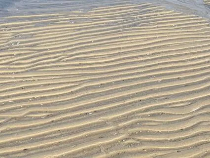 Self Love In Order To Help Others - Guided Mediation