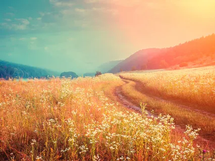 Self-Love Is Important To Living Well - 'Why Don't You Love Yourself?'