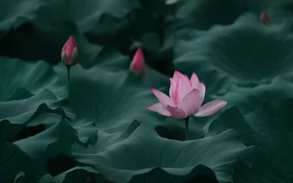 Self-Love Mantra Meditation