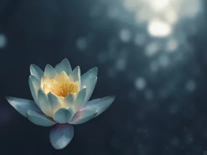 Self Love Meditation