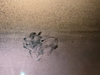 Self-Love Meditation