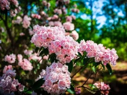 Self-Love Affirmations