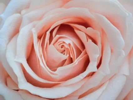 Self Love Meditation