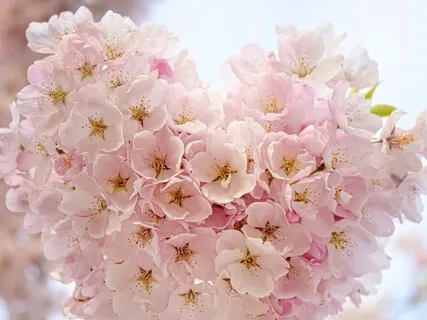 Self-Love Meditation