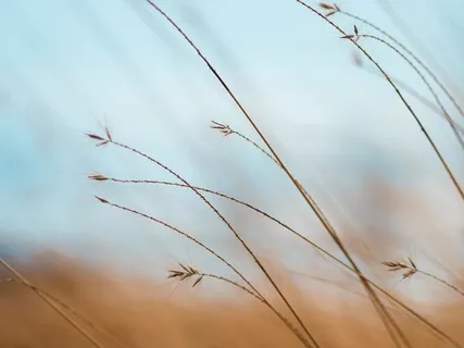 Self-Love Meditation